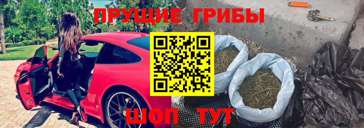 Псилоцибиновые грибы Cubensis  Вход с VPN  Галлюциногенные грибы Magic Shrooms  Семёнов 