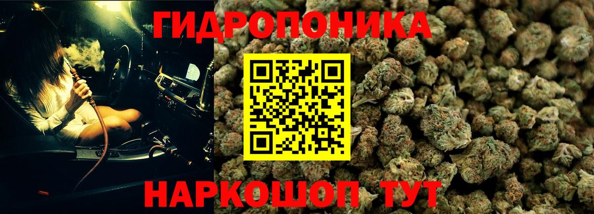 Шишки марихуана AK-47  Конопля Ganja  Семёнов  Вход с VPN  Бошки марихуана сатива 